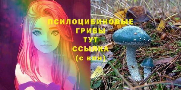 а пвп мука Балабаново