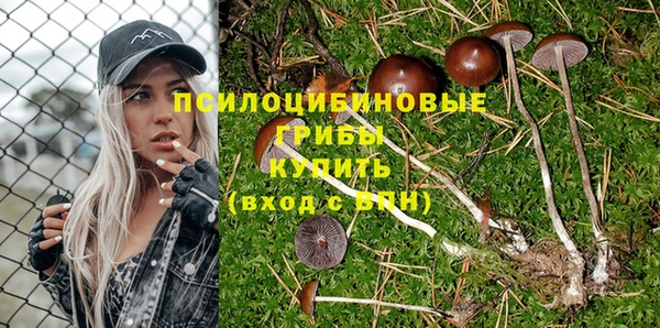 а пвп мука Медногорск